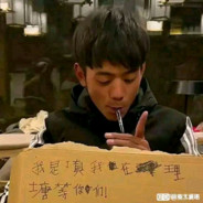 丁真和他的动物朋友们