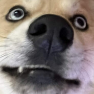 BurstIsMildlyOk