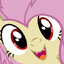 Flutterbat