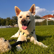 nyczuuu SKINS skins.army - steam id 76561198133564576