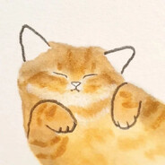橘猫。