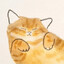 橙猫猫坏事做尽