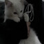 Avatar of player Akane† 雨