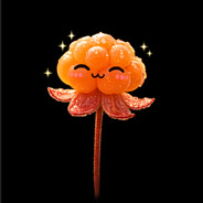 CloudBerry avatar