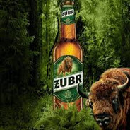 Sztywny_Żuber_Peek<3skins.army