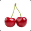 Cherry☜☯☞