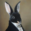 Lord Rabbit