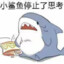 小鱼在玩电脑