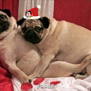 悦澜湾66号技师