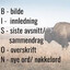 BISON-Overblikk Entusiast