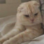shiwu