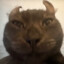 I&#039;ll Mog You