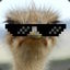 ︻╦╤─ Fuzzy Ostrich