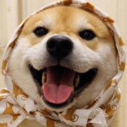 嘻嘻，小心喽哦！