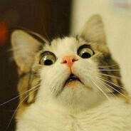 dżoszuaCzaritto₉⁹₉