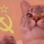 GATO COMUNISTA