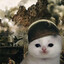 meko
