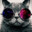 SirNoobALot