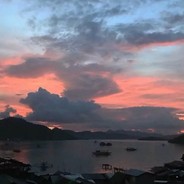 终有相思寄巫山