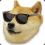 Wiz Doge