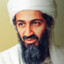 L9 Pedro Alonzo, tax evader