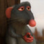 Raccacoonie
