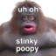 Stinky poopy