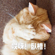 全场9块9包邮。