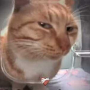 GOMODRIL - steam id 76561198389999572