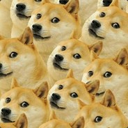 猥琐发育别浪