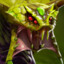 Venomancer Carry pos5