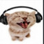 catty