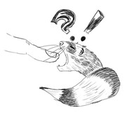 tacagero avatar
