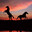 HORSES ON SUNSET's Avatar