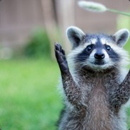 뿌지지직후두두둑