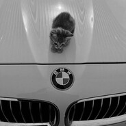 burger shooting - steam id 76561199793781173