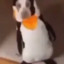 Goose
