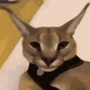 JANGO ZAPA