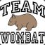 a very large, scary wombat