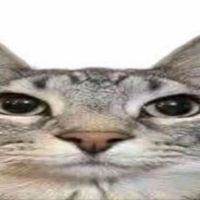 𝑭𝑬𝑰𝑾𝑨𝑵.