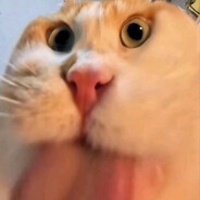 叫我贤惠的帅戈好了