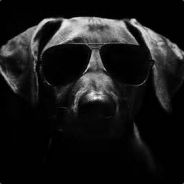 iceybulldog22