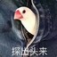 闪baby的饲养员