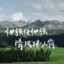 A阿牛