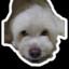 eMANey