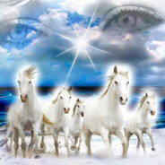 tg - steam id 76561198201386115