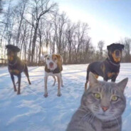 快乐的小家雀儿~