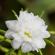 心情好才是真的好