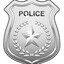 The NightWind Police