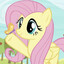 Fluttershy1x9